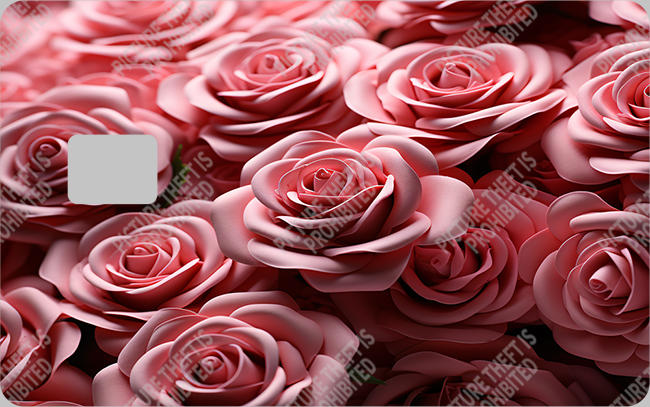 Bank  Card Sticker-BC-476